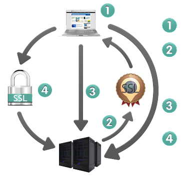 Schemat SSL